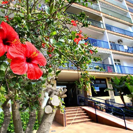 Expoholidays - Apartamento Crucero